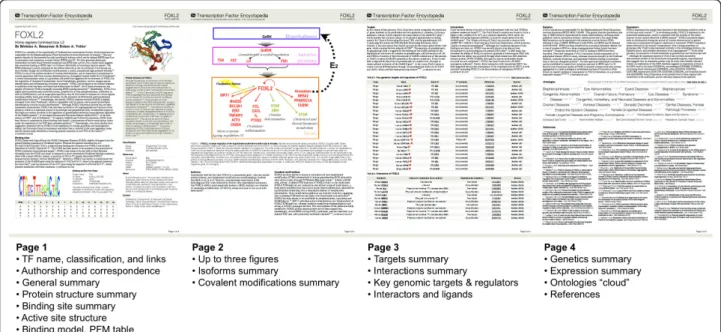 Figure 8 Format of the PDF article. The PDF mini summaries are composed of four pages