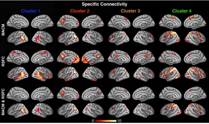 Figure 6: Specific connectivity 