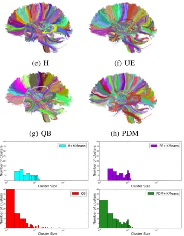 Figure 3. (top) 560 clusters on brain: Qualitative algorithm comparison for the resulting fiber clusters on an arbitrary chosen subject