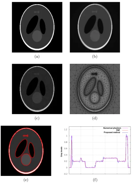 Fig. 4: (a) 2D Shepp-Logan (256x256 pixels) (b) FDK reconstruction, (c) ATM recon- recon-struction and (d) its corresponding final mesh (9522 triangles)