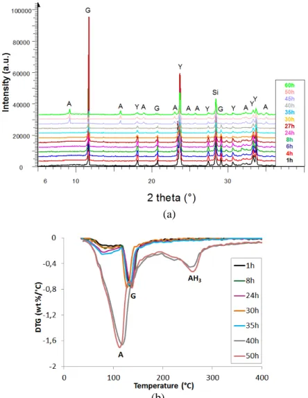 Figure 10 Hydration of CSA cement by a lithium/sodium borated solution ([B] tot  = 1 mol/L, Li/C = 0.03 mmol/g,  pH = 11, w/c = 0.6, T = 20°C) at an early age : (a) X-ray diffraction patterns (A = AFt phase, G = gypsum, Y = 