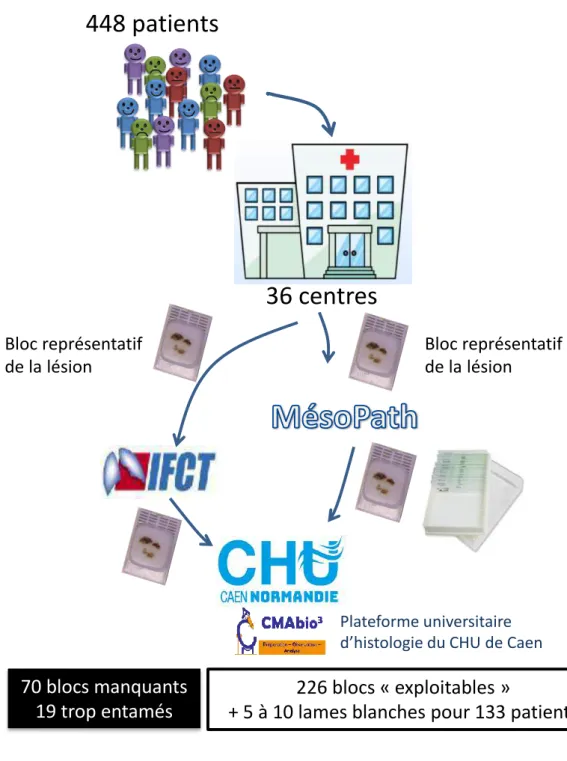 Figure  23  :  Centralisation  et  exploitation  des  prélèvement  tumoraux  de  l’étude  Bio-MAPS