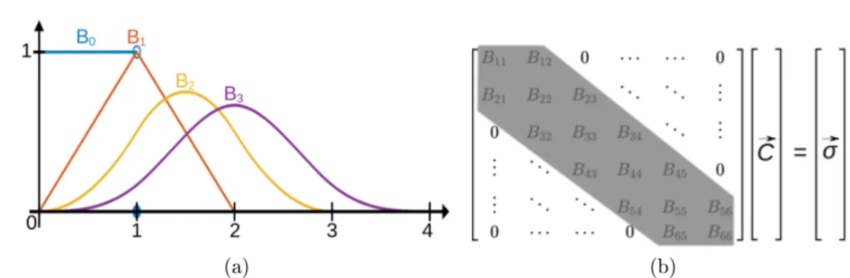 Figure 3.2: Properties B-splines basis. (a) The order of the spline denes its regularity.