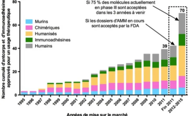 Figure  19.  Cumuls  des  différents  types  d’anticorps  monoclonaux  thérapeutiques  et  immunoadhésines  approuvés jusqu’en Août 2011, et prédictions pour la période 2012-2015