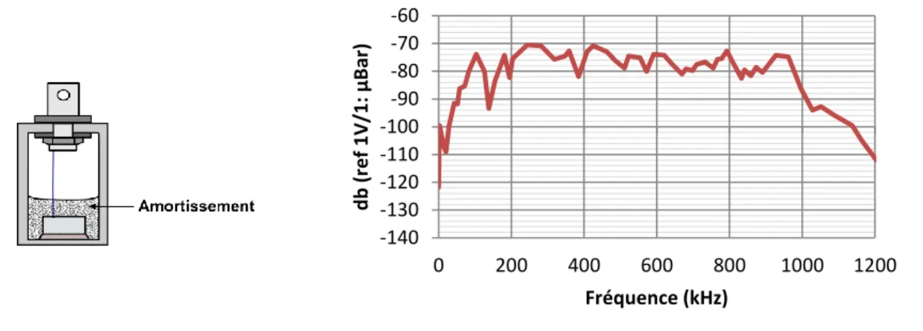 Figure 1.9 - Schéma d’un capteur large bande et courbe de sensibilité du capteur UT-1000 