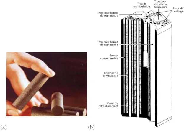 Fig. 1.5 – (a) Photo de compacts (contiennent 1500 `a 6000 particules) (b) Sch´ema du bloc graphite contenant les compacts empil´es en crayons