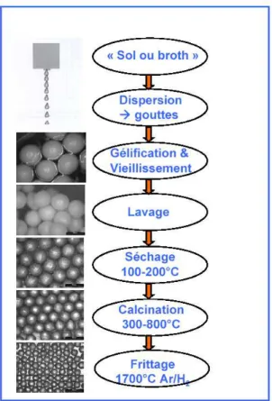 Fig. 1.7 – Fabrication des noyaux par le proc´ed´e sol-gel [69]