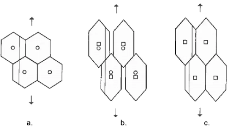 Figure 2.7 – Mod`ele de fluage de Ashby et Raj : sollicitation du polycristal (a.), fluage diffusion (b.), accomodation par glissement aux joints de grains (c.)
