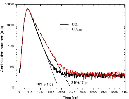 Figure 2.23: Two raw positron lifetime spectra measured in UO 2  and UO 2.04  at room temperature (300  K)