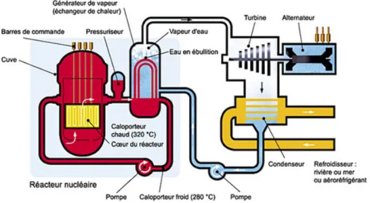 Figure 1  Schéma de principe d'un réacteur nucléaire à eau sous pres- pres-sion montrant où se situe le c÷ur contenant le combustible nucléaire à base d'oxyde d'uranium [CEA].