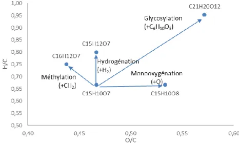 Figure  I-10:  Représentation  de  Van  Krevelen  de  produits  naturels  obtenus  par  des  recherches  de  formules brutes dans des bases de données avec le positionnement des familles moléculaires, d’après  Kuhnert (2013)