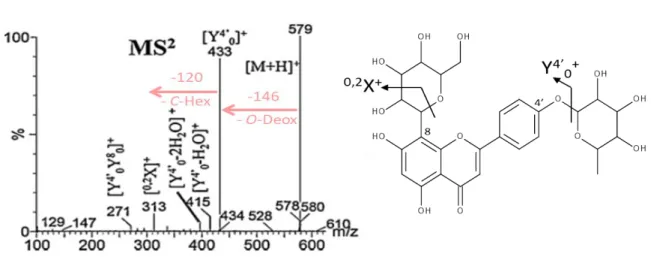 Figure I-30:  Spectres  de  fragmentation  de  l’isovitexine-7-O-glucoside  en  mode  d’ionisation  positif,  d’après Piasecka (2015)