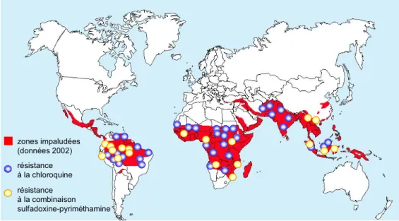 Figure 1: zones impaludées dans le monde. Les foyers de résistances aux traitements par la chloroquine et les   associations sulfadoxine-pyriméthamine sont répartis sur l'ensemble des zones impaludées