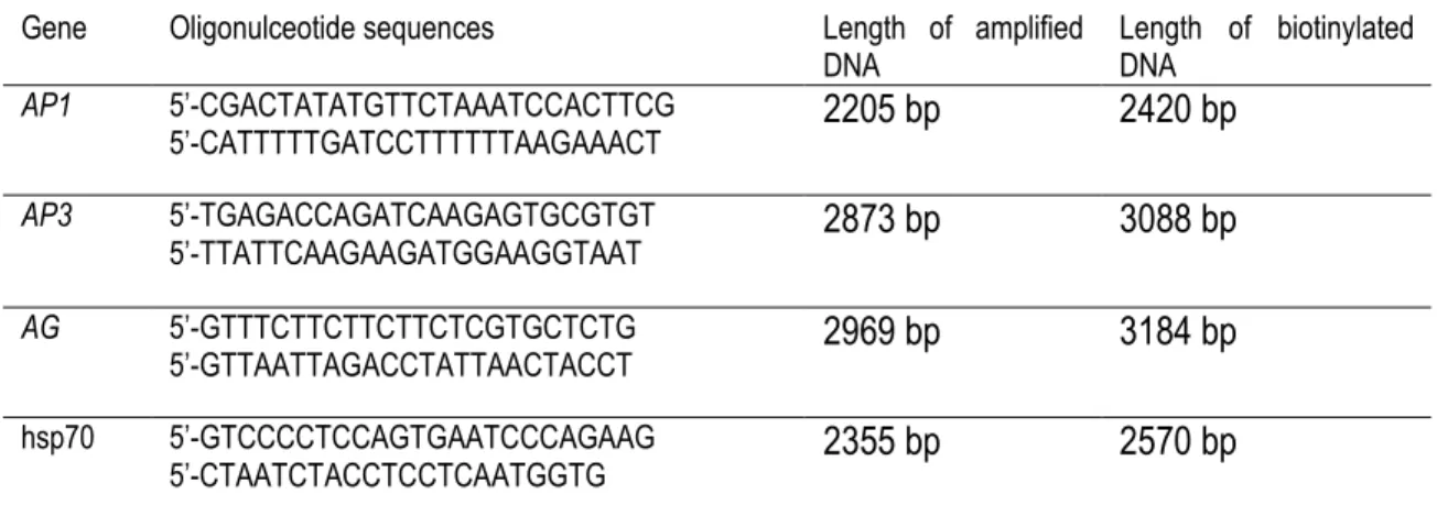 Table 1. PCR amplification of target gene promoters. 