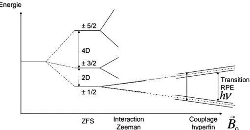 Figure  2-7:  Illustration  des  effets  des  différentes  interactions  magnétiques  sur  les  niveaux  énergétiques  d'un atome de Fe(III) spin fort 