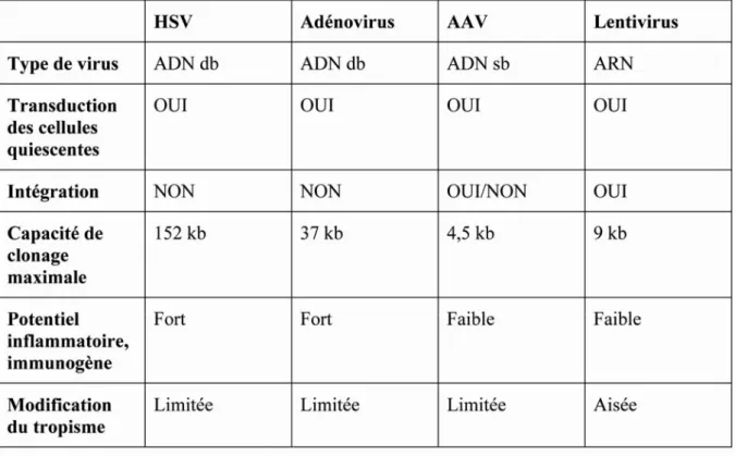 Tableau 2 : Caractéristiques des différents vecteurs viraux utilisés pour le transfert de gène dans  le système nerveux central 