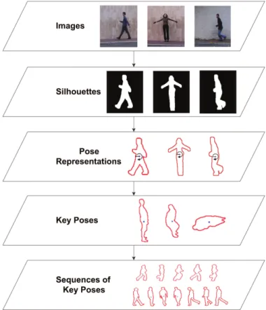 Figure 2.1 – Extraction de poses clés issues de la silhouette par [12]