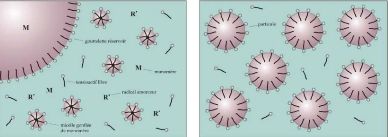 Figure 5 – Représentation schématique de la polymérisation en émulsion à l’état initial (gauche) et à l’état final  (Schémas repris de la thèse de J