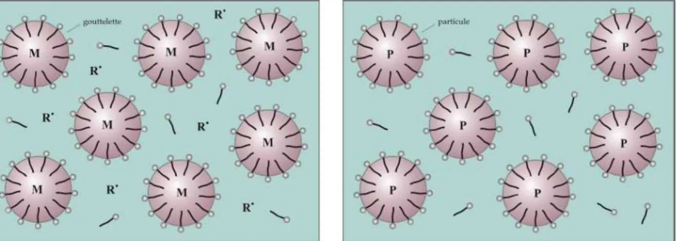 Figure 6 – Représentation schématique de la polymérisation en miniémulsion à l’état initial (gauche)   et à l’état final (droite) (Schémas repris de J