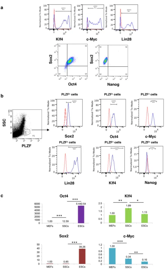 Figure 1: Reprogramming factors that induce pluripotency are expressed in spermatogonial progenitors except  Nanog