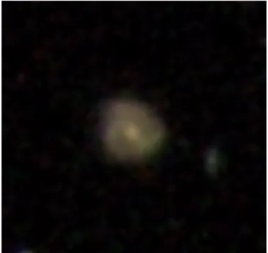 Fig. 9. Composite image of SDSS J141007.94-002348.4 from sky- sky-server.sdss.org. SDSS J141007.94-002348.4 is a spiral galaxy with M I = −21.8