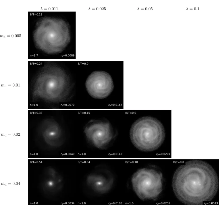 Fig. 2. Face-on view of the simulated galaxies at the first time t when B/T has stopped growing (2 Gyr < t < 3 Gyr)