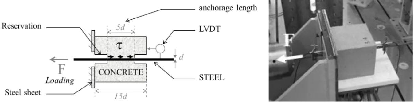 Figure 1 : Pull-out set up 