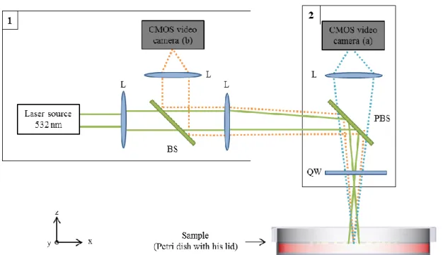 Figure 3 Schematic of the backward-scattering system. Abbreviations: L: achromatic lens, BS: beam splitter, PBS: polarizing beam  splitter, RL: ring LED