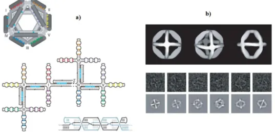 Figure  51 :  a)  ADN  désigné  pour  l’auto-assemblage ;  b)  Image  de  Cryo-EM  de  l’octaèdre  formé  à  base  d’ADN  et  images reconstruites 