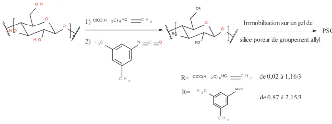 Figure 1.22 : Procédé de fixation par réaction du polysaccharide « mixte » avec un gel de silice allyle