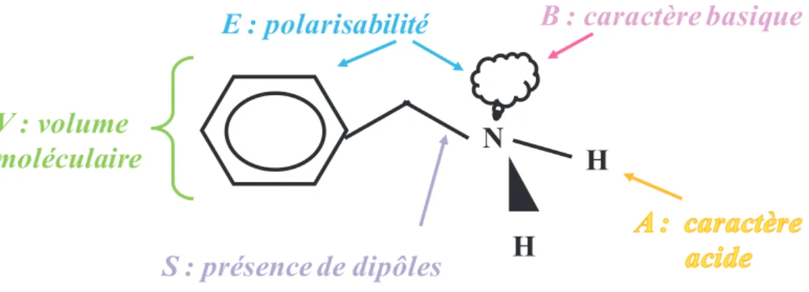 Figure 2.3 : Description des propriétés structurales et des interactions relatives au modèle LSER