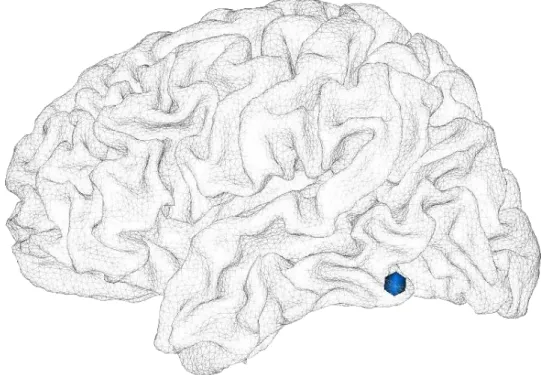 Figure 4.1 – Location of the brain region of interest in the inferior temporal gyrus, at coordinates (− 52, − 60, − 14 ) .