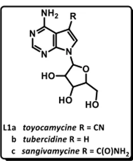 Figure 1 : Pyrrolo[2,3-d]pyrimidines provenant de sources naturelles 