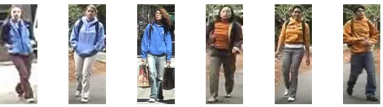 Figure 1.6 – Illustration of visually similar distinct people.