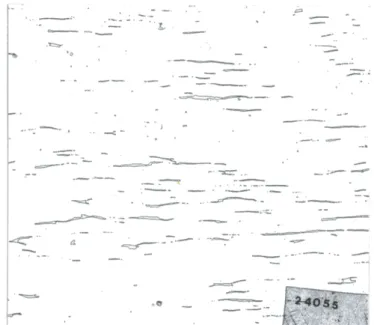 Fig. 1.3 shows the microstructure in one sheet of as-received AISI 316L(N).