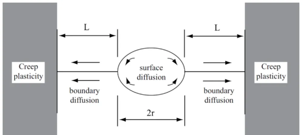 Figure 1.16: Intergranular cavity growth model with a coupling between grain boundary diffusion and viscoplasticity [100].