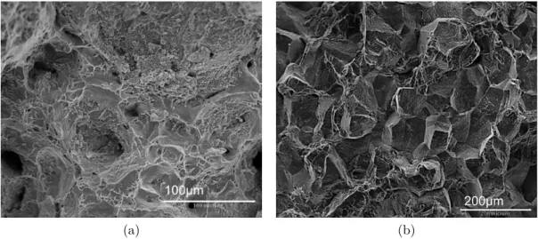 Figure 2.3: FEG-SEM observations of the fracture surfaces of the HN 823 alloy for two different test conditions