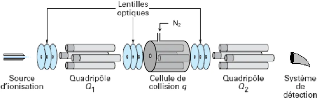Figure 17 : Appareil de type triple quadripôles comprenant deux filtres de masses quadripôlaires et une  cellule de collision