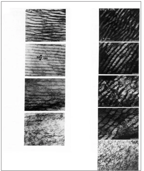 FIG. I-22: Effet du temps de maintien sur les structures de dislocations developpées dans un acier 316L à deux amplitudes  de déformation à 600°C (Tavassoli, 1986) 