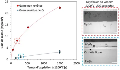 Figure I-9 : Comparaison du gain de masse d’une gaine non revêtue et d’une gaine revêtue (plaquettes) pour une  oxydation double face à 1200°C en fonction du temps d’oxydation (retracée à partir de [33]) 
