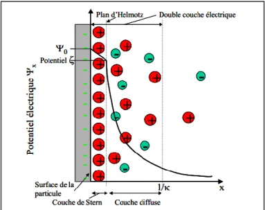 Figure II. 12 : Représentation schématique du modèle de la double couche électrique 