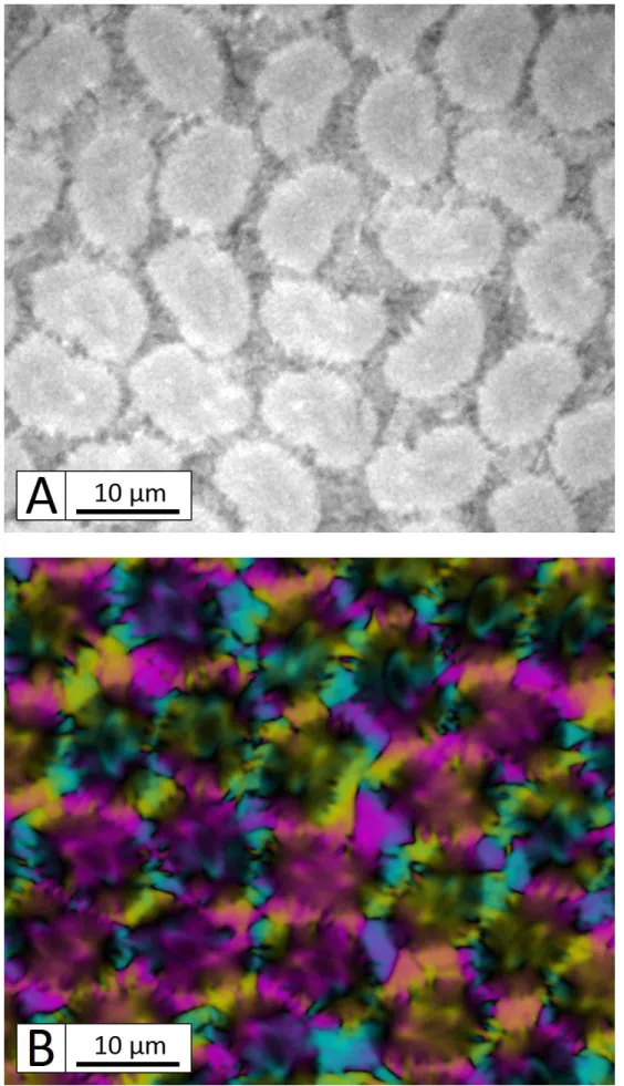 Figure 1.4  Analyse de micrographies optiques sous lumière polarisée (annexe A) d'une coupe normale à une baguette Z