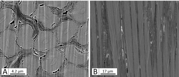 Figure 1.5  Micrographie optique d'une coupe transverse d'une baguette X laissant apparaître la forme écrasée de la section entre les baguettes Z.