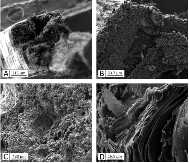 Figure 2.10  Essais à l'ambiante sur méso-constituants. Faciès de rupture après traction sur baguettes Z (A,B) et après compression sur blocs de matrice ex-brai (C,D).