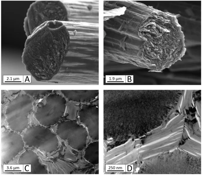 Figure 3.2  A,B : micrographies MEB de bres M40, respectivement brutes et extraites d'une baguette