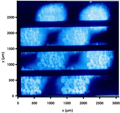 Figure 3.5 – Image type d’une radiographie XRFC de face d’une cible pr´ esentant des modulations 3D du front d’ablation.