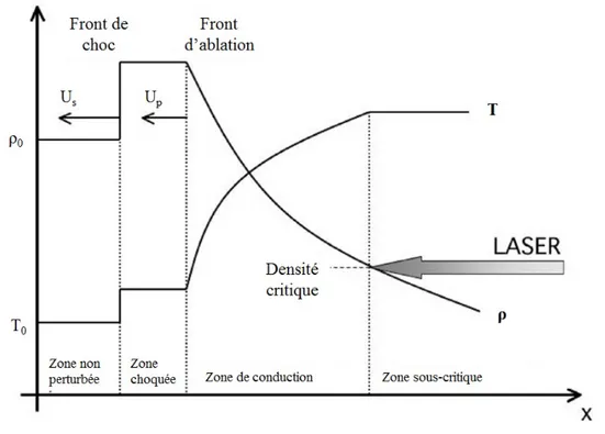 Figure 1.5 – Profil de densit´e et de temp´erature d’une cible ´eclair´ee par un laser et zones associ´ees.