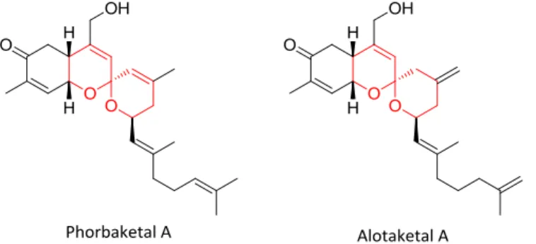 Figure 5: Structures des spiroacétals Phobaketal A et Aloketal A 