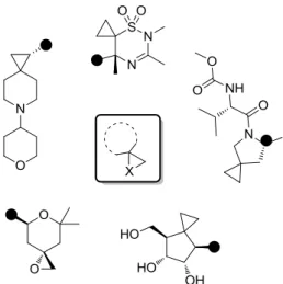 Figure 9 : Représentation de spirocycles à 3 chaînons 