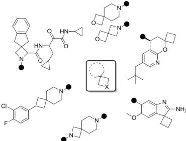 Figure 11 : Représentation de spirocycles à 4 chaînons 